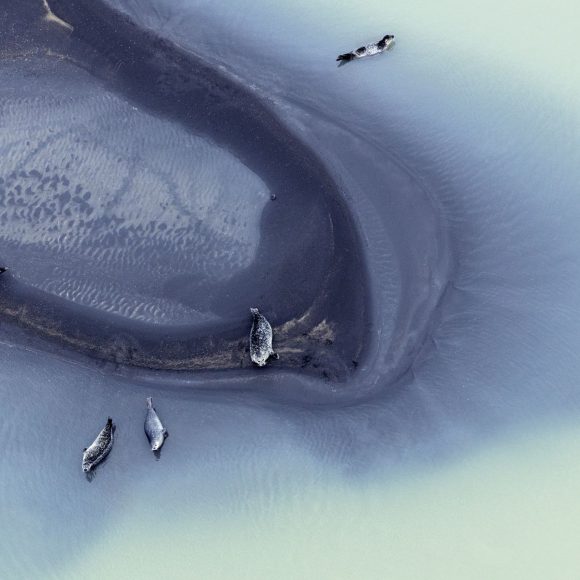 Una serie de fotos humorísticas de Zack Seckler