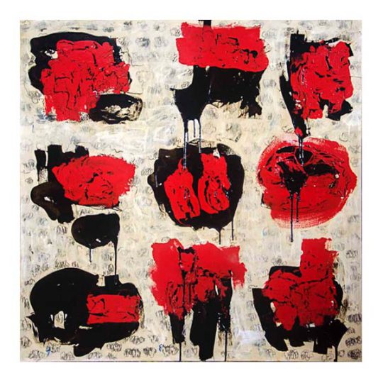 Anotaciones en el cielo Nº 293