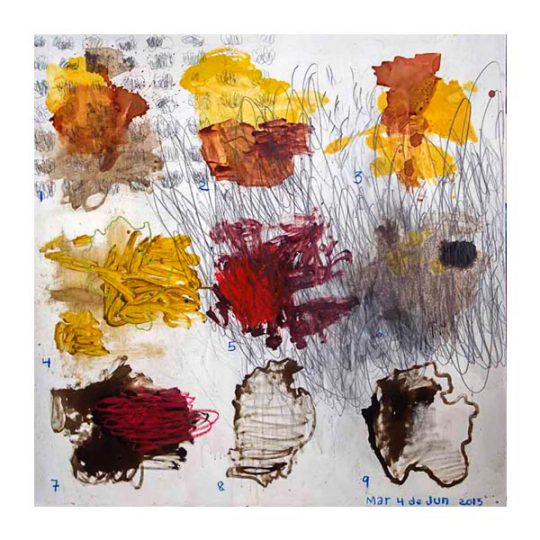 Anotaciones sobre el cielo Nº 256