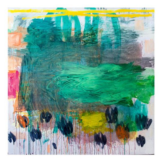 Anotaciones sobre el cielo Nº 463