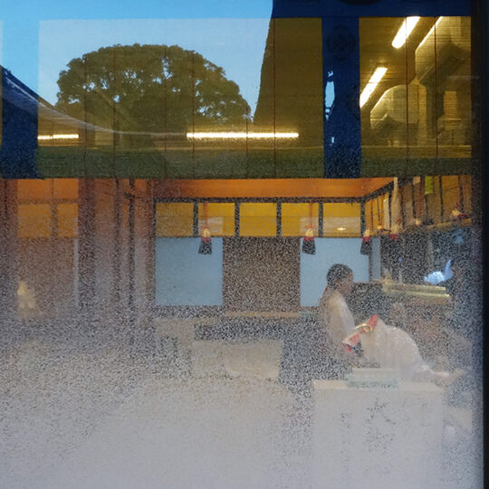 Halo Serie Rorschach